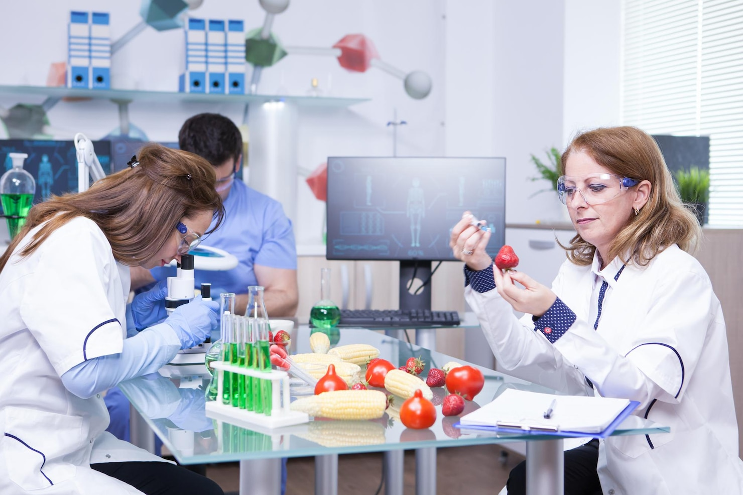 Treatment study on genetically engineered strawberries in laboratory