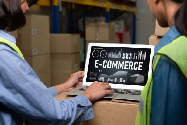 Ecommerce data software provide modish dashboard for sale analysis
